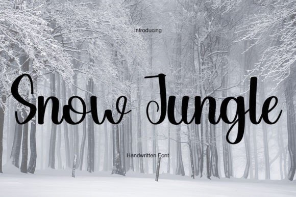 Snow Jungle Font for Modern Branding and Digital Campaigns