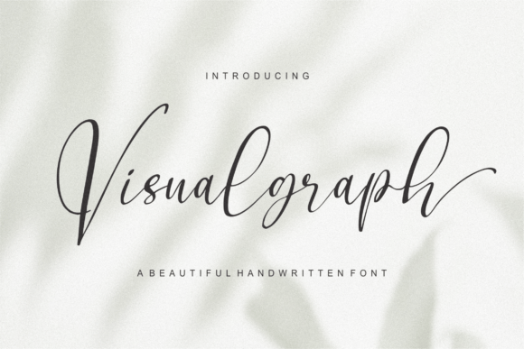 Visualgraph: A Script Font for Modern Branding and Design
